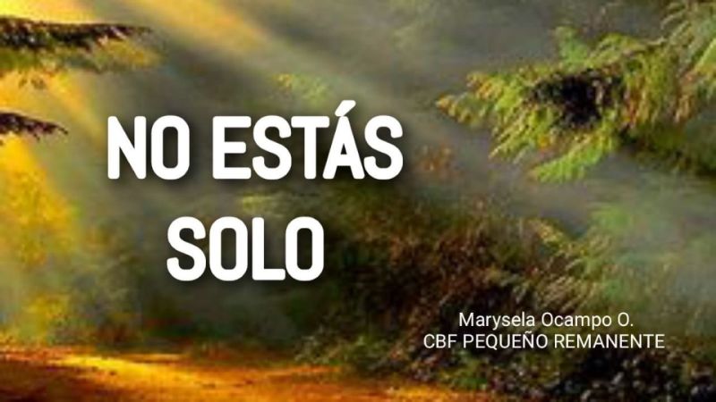 No Estas Solo Pdf - Perfect Mobile Vintage Arts | Free Download