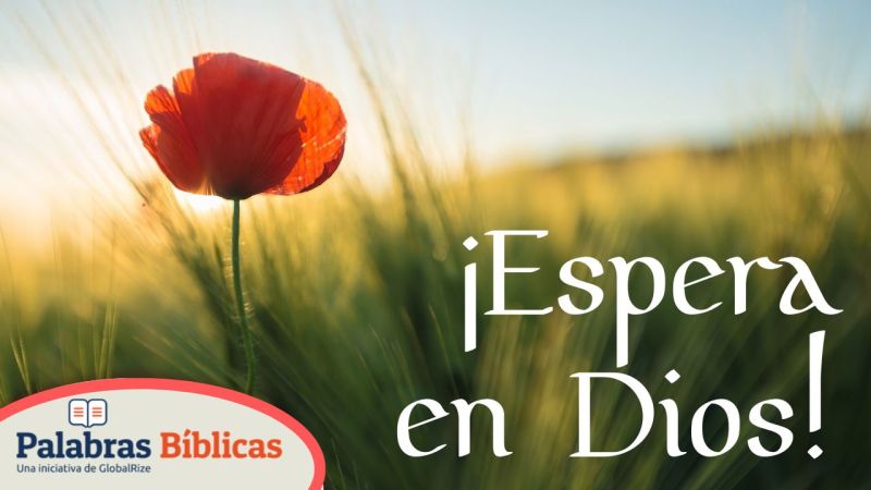 Qu Espera Dios De T Parte 1 Gt - Vintage Designs - High Quality Ultra HD Collection