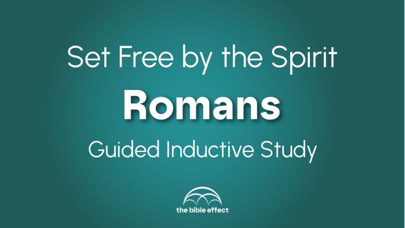 Romans Bible Study Guide - Best Sunset Illustrations in 8K