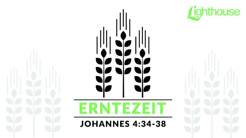 Erntezeit Digital Collection - Artistic Retina Minimal Illustrations | Free Download