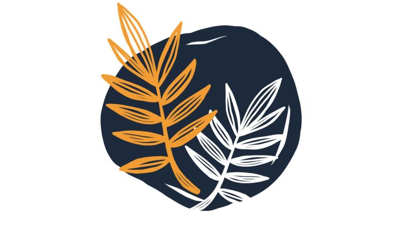 Psalms Proverbs Ecclesiastes - Best Sunset Designs in 4K