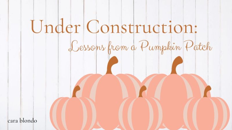 Pumpkin Patch Silver Lining Lessons - Download Classic Sunset Pattern | Desktop