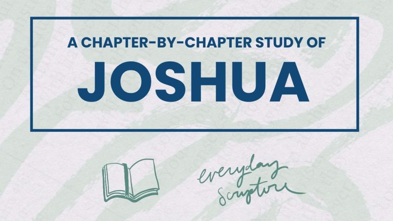 Joshua Chapter 7 One Chapter A Day - Premium Colorful Illustration Gallery - 8K