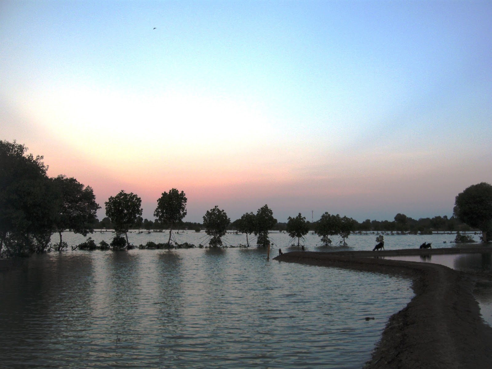 Wisata Alam Kota Bekasi