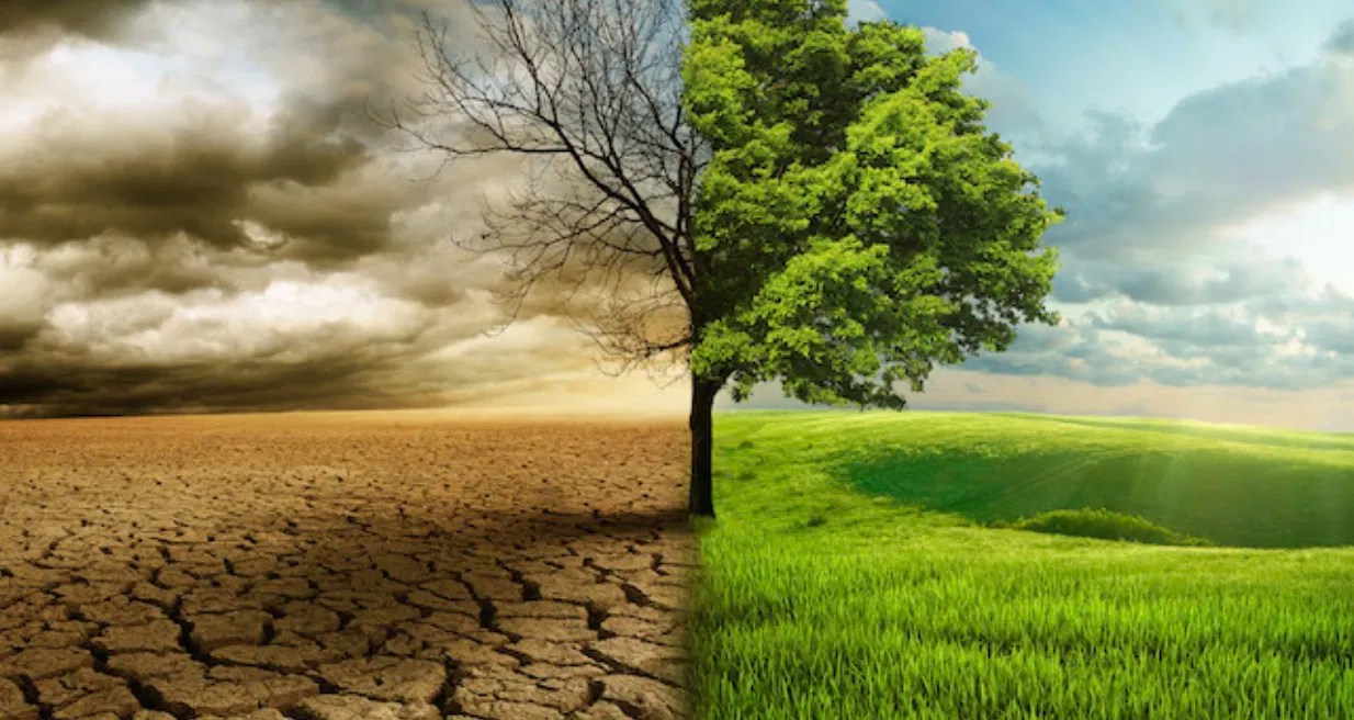 Your House Will Be Left Desolate The American Vision - Elegant Space Picture - Desktop