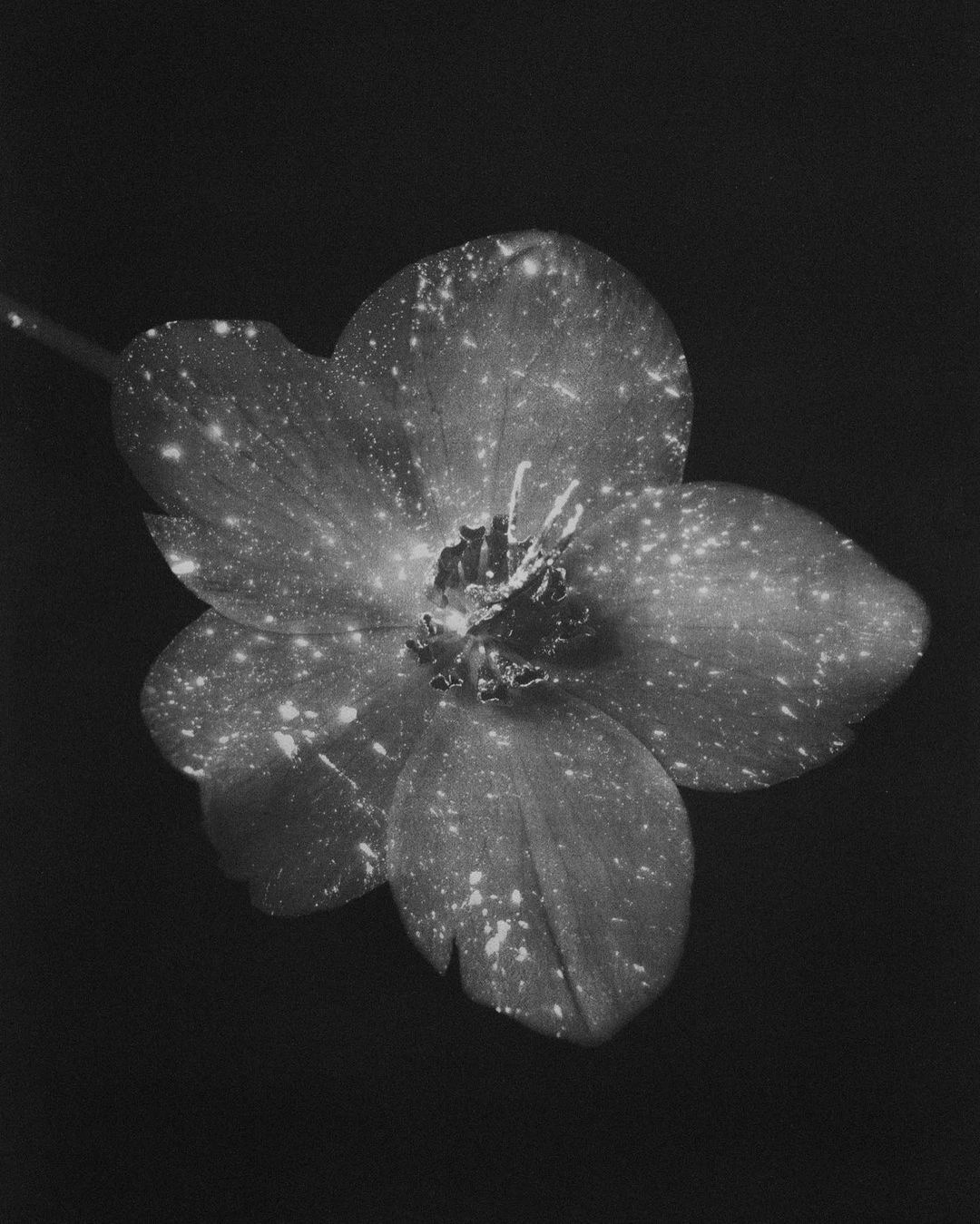 Cinema Luca Cosmos - Modern Mobile Dark Illustrations | Free Download