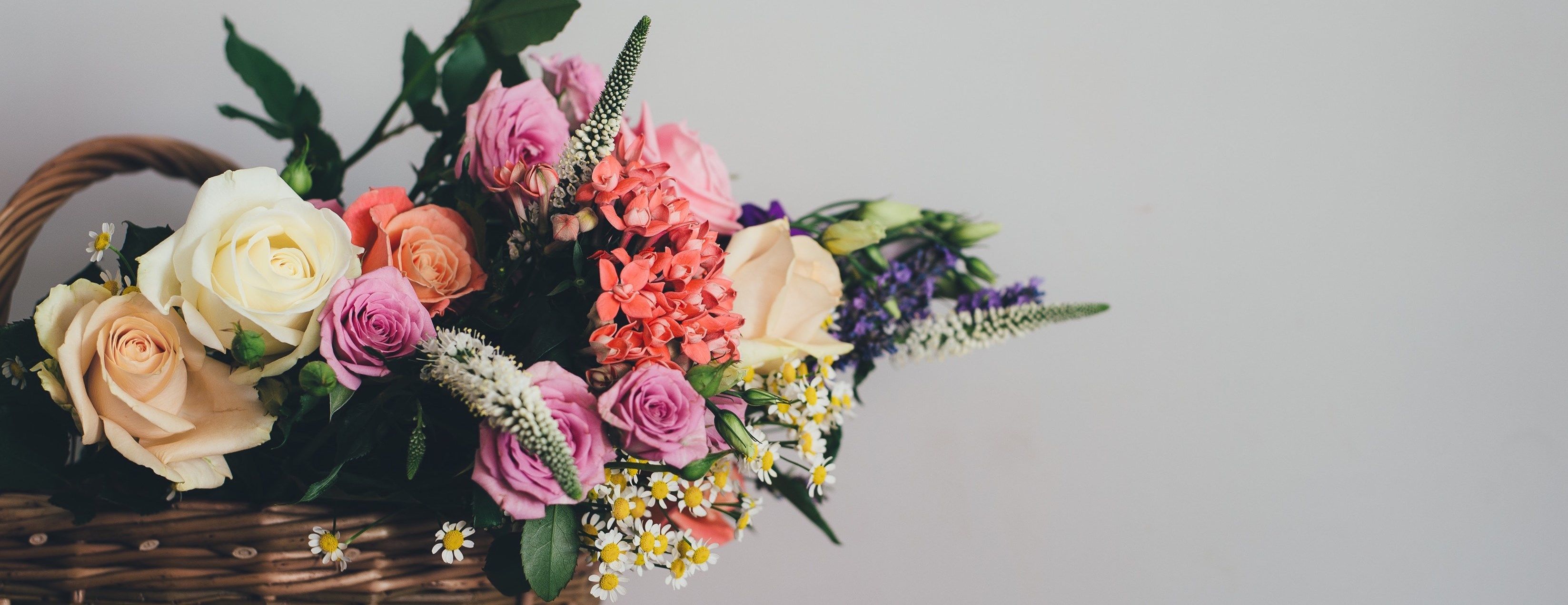 Rina Exclusive Content On Boosty - Premium Abstract Image - Ultra HD