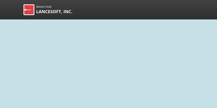 Lancesoft net worth