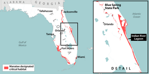 Manatees Habitat Map 1135006 2 0224 Manatee Large 