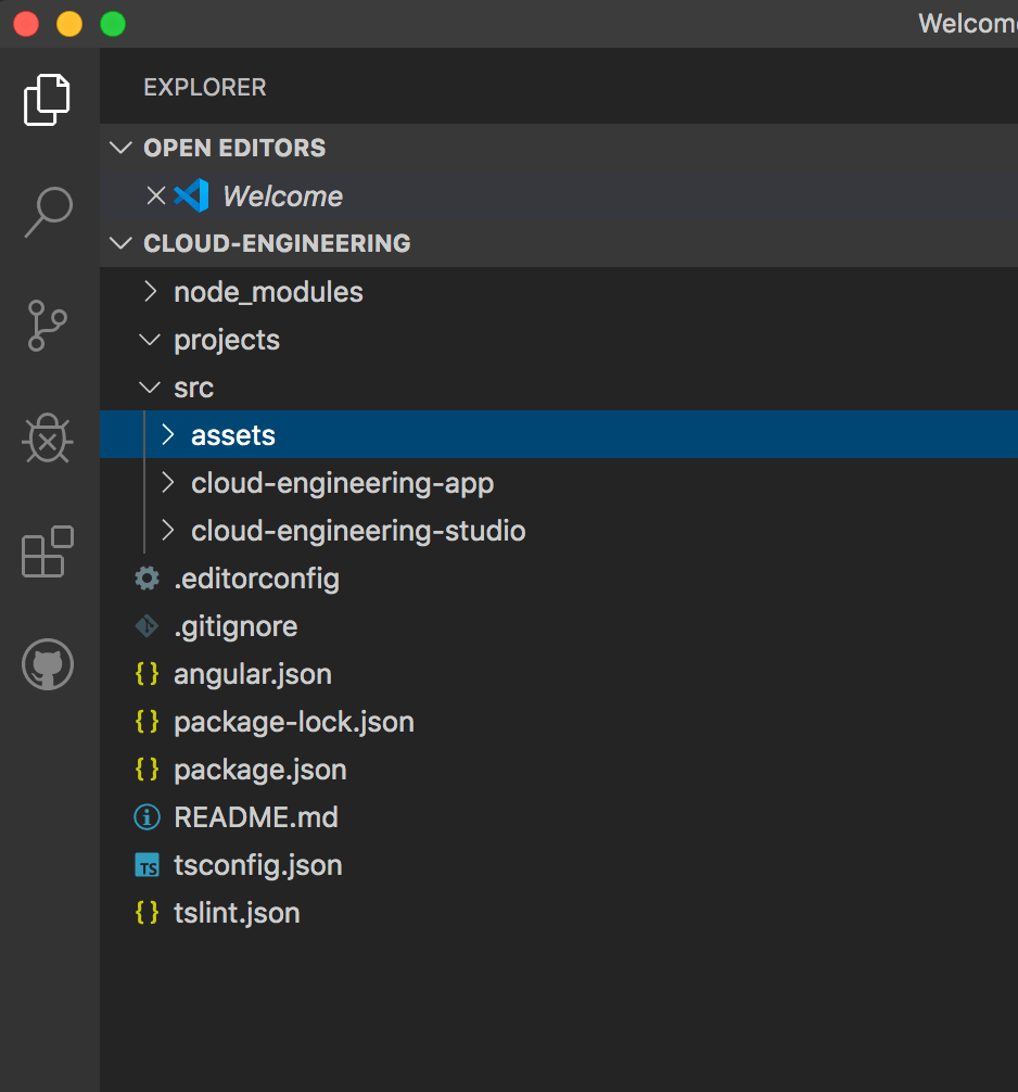 Create shared assets folder for your Angular apps