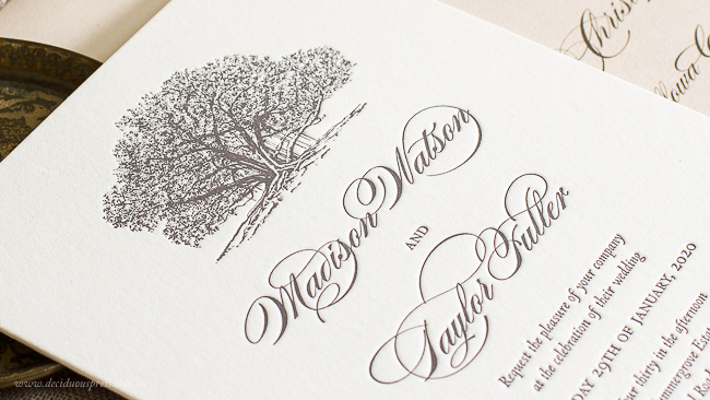 There's a lot to consider and we break it all down. Tree Wedding Invitations Illustrations For Your Wedding Stationery Perfect For Outdoor Weddings