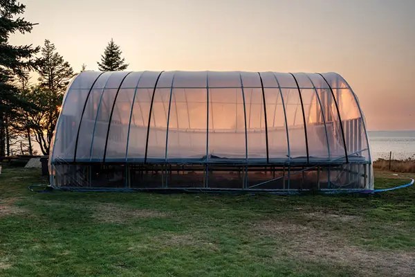 Matinicus Salt Farm's greenhouse