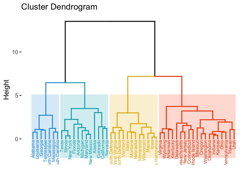 Dendrogram Construction Bioedit Relasopa - Download Classic City Design | Full HD