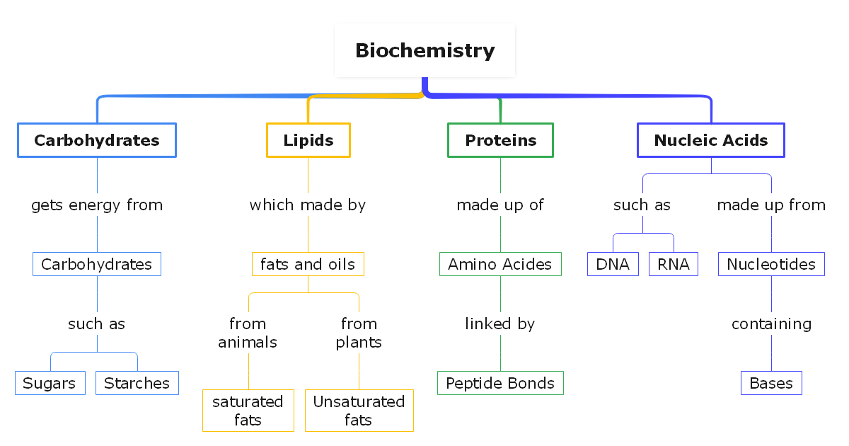 Biological macromolecules concept map