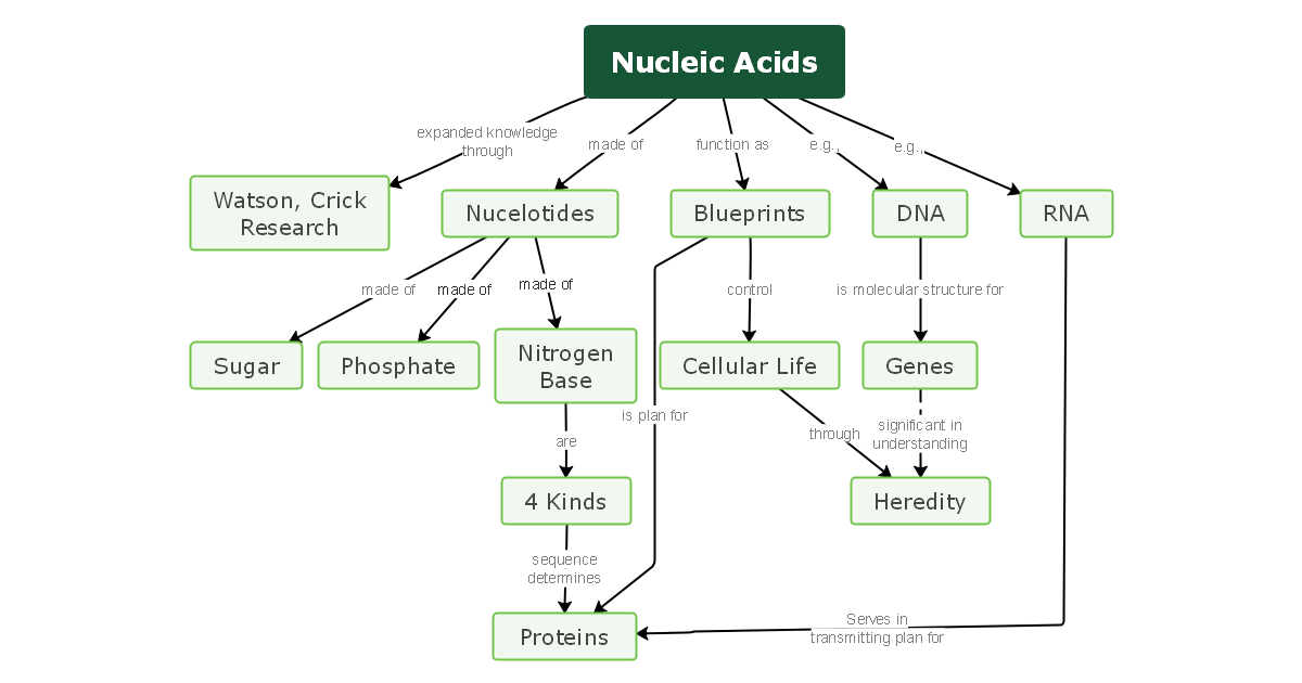 Types of nucleic acids