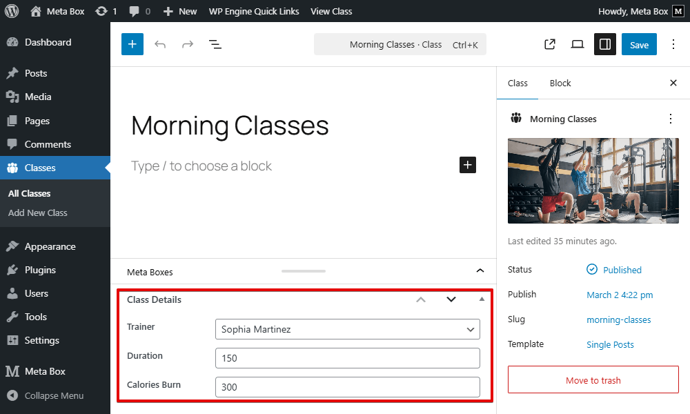 Fields in post editor