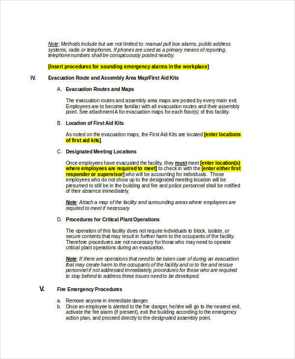 65 Action Plan Examples In Pdf Ms Word Google Docs Pages Examples