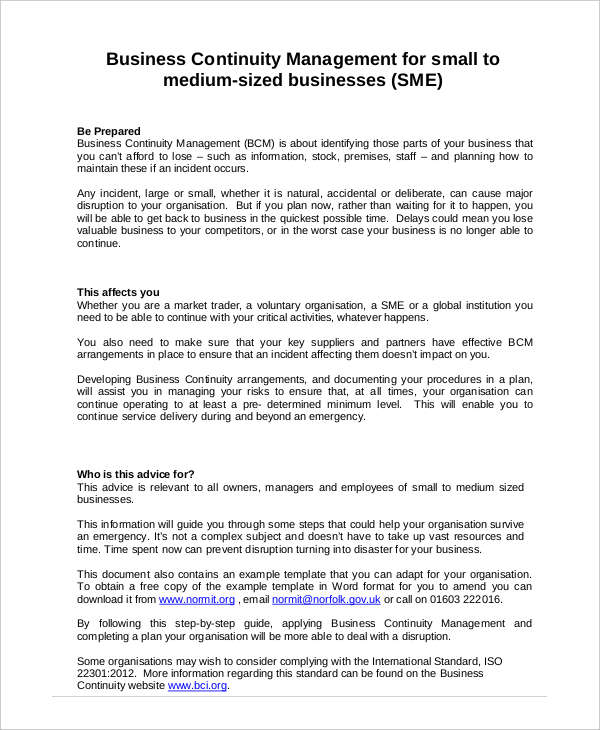 Free 30 Free Business Plan Examples In Pdf Word Pages Doc Google Docs Examples