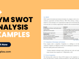 11 Gym Swot Analysis Examples To Download