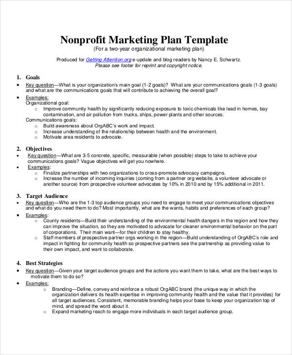 Free 8 Nonprofit Plan Examples Samples In Pdf Google Docs Word Pages Examples