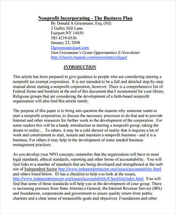 Free 8 Nonprofit Plan Examples Samples In Pdf Google Docs Word Pages Examples