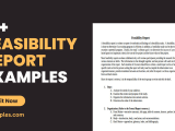 Feasibility Report 12 Examples Format How To Create Pdf