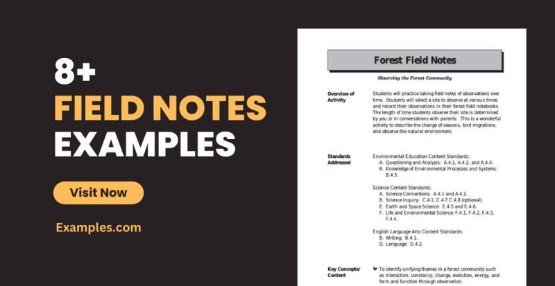 Field Notes Pdf Docdroid - Modern Minimal Pattern - Ultra HD