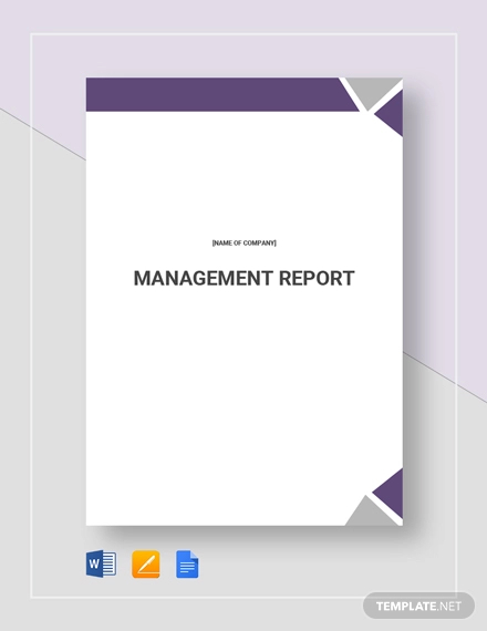 26 Management Report Examples In Pdf Ms Word Pages Google Docs Examples