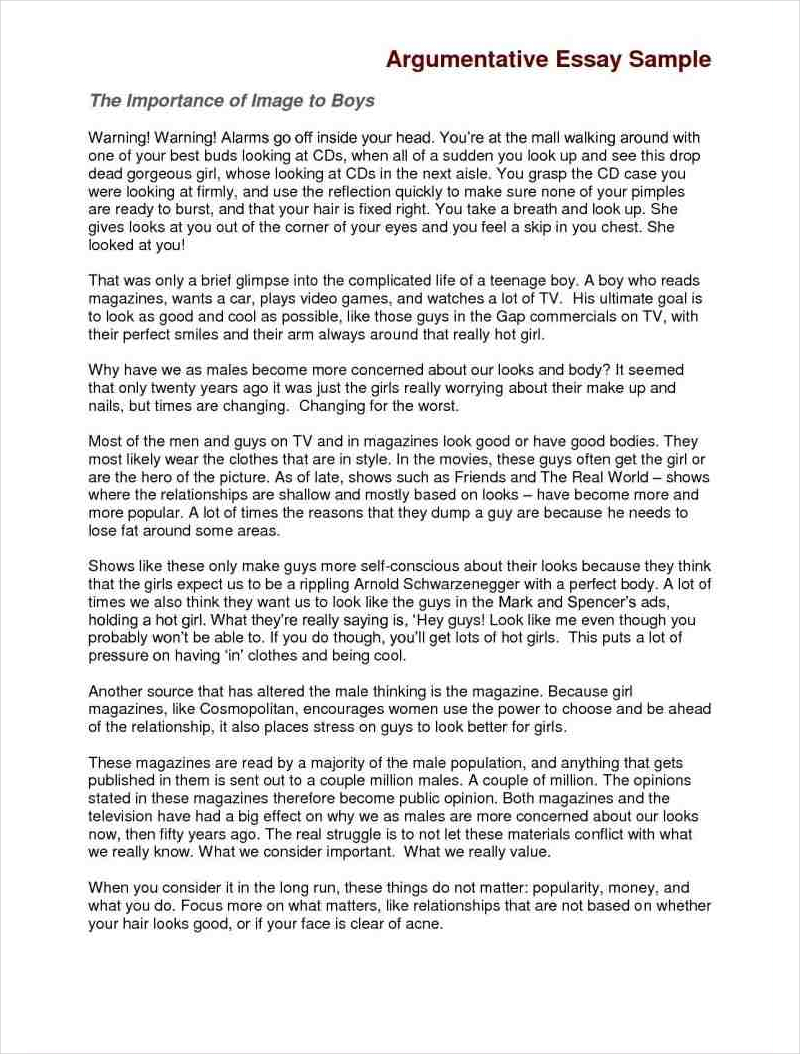 Sample Argumentative Essay
