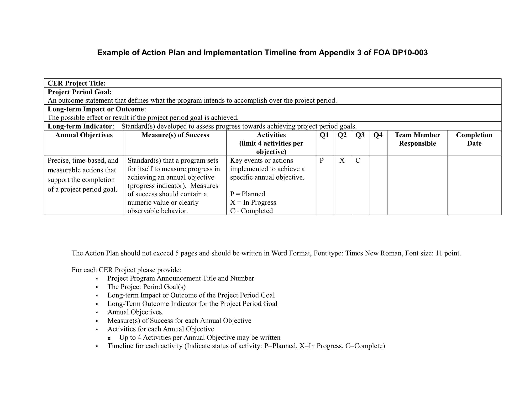 Action Plan Format Sample
