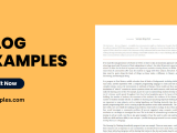 Blog 20 Examples Pdf How To Create
