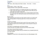 25 Weekly Status Report Examples To Download