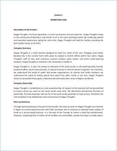 9 Product Marketing Plan Examples Pdf Word Examples
