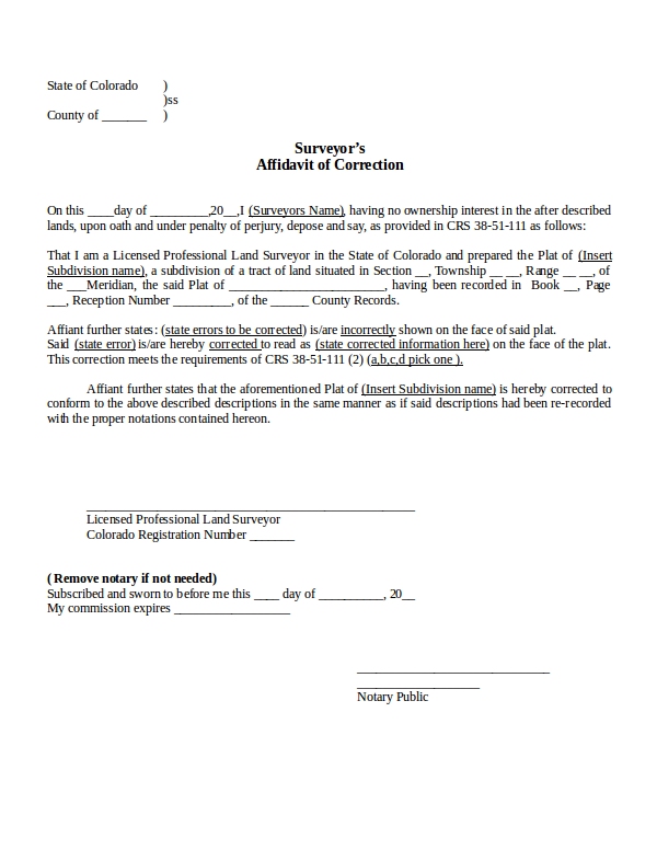 8 Affidavit Of Correction Examples Pdf Examples