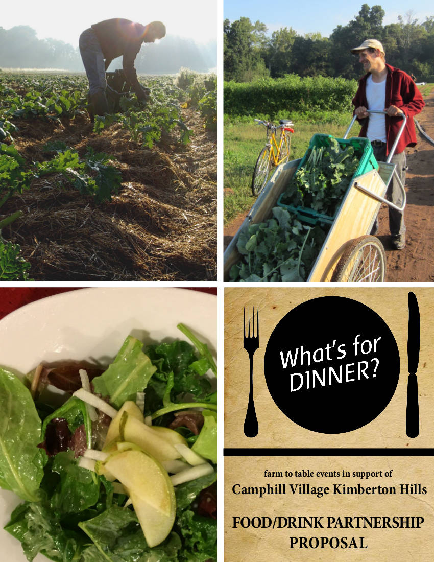 His proposal to coincide with the comet being visible in the night sky. 9 Restaurant Event Proposal Examples Word Docs Pdf Examples