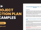 Project Action Plan Exle Pdf Infoupdate Org