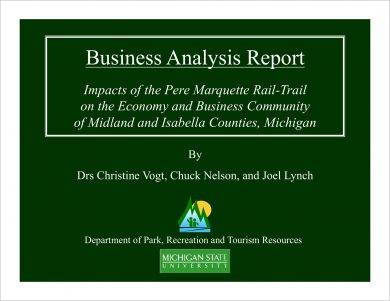 23 Business Analysis Report Examples In Pdf Ms Word Pages Google Docs Examples