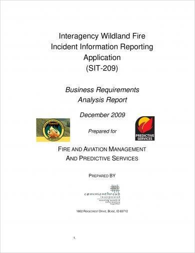 23 Business Analysis Report Examples In Pdf Ms Word Pages Google Docs Examples