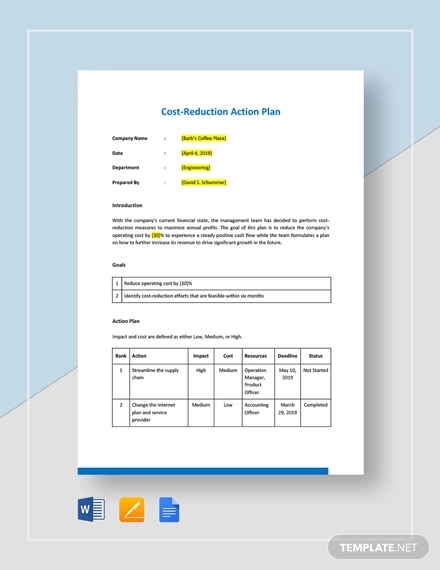 10 Smart Action Plan Examples In Google Docs Ms Word Pages Pdf Examples