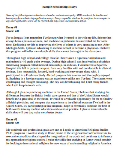 Free 20 Scholarship Essay Examples Samples In Pdf Examples
