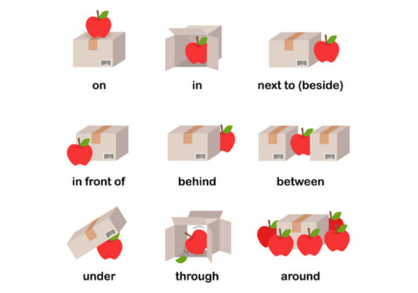 Prepositional Sentences Examples & Samples | Examples Prepositional Sentences Examples & Samples | Examples