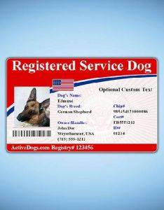 10 Animal Id Card Examples Illustrator Ms Word Pages Photoshop Publisher Pdf Examples