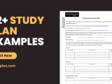 How To Create A Study Plan In Excel Infoupdate Org
