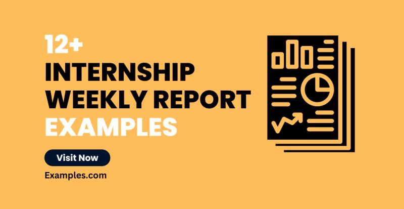 Internship Weekly Report 12 Examples Format Pdf Examples - Premium Retina Geometric Designs | Free Download