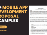11 Mobile App Development Proposal Examples To Download