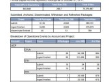 Operations Summary Report