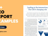 10 Ceo Report Examples To Download