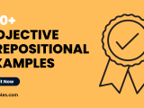 99 Adjective Prepositional Phrase Examples