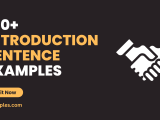 99 Introduction Sentence Examples