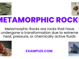 Foliated Metamorphic Rock Examples